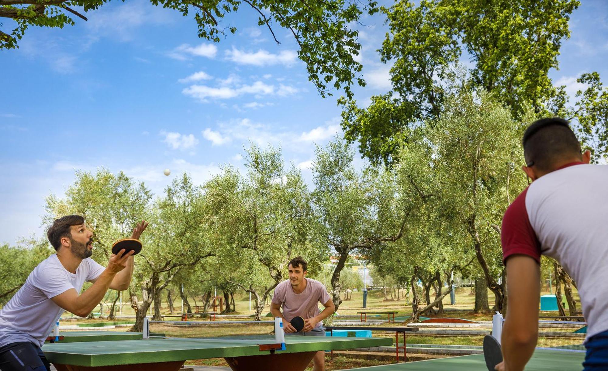 Aminess Planet Camping Maravea Resort - Pitches Novigrad Istria المظهر الخارجي الصورة