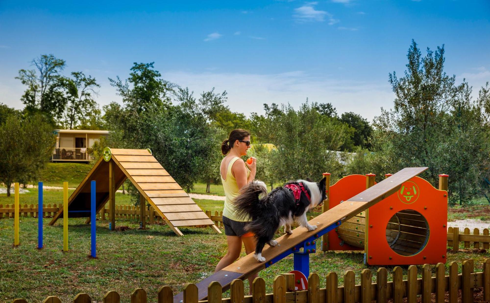Aminess Planet Camping Maravea Resort - Pitches Novigrad Istria المظهر الخارجي الصورة